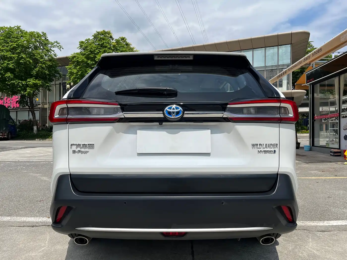 Toyota Wildlander 2023 Hybrid 2.5L E-CVT AWD Premium Edition фото 5