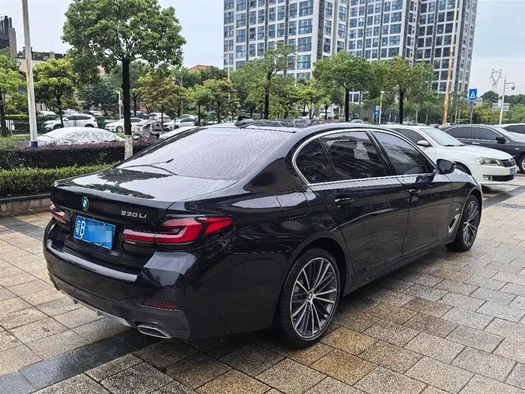 BMW 5 Series 2022 Model Second Facelift 530Li Leading Luxury Package фото 5