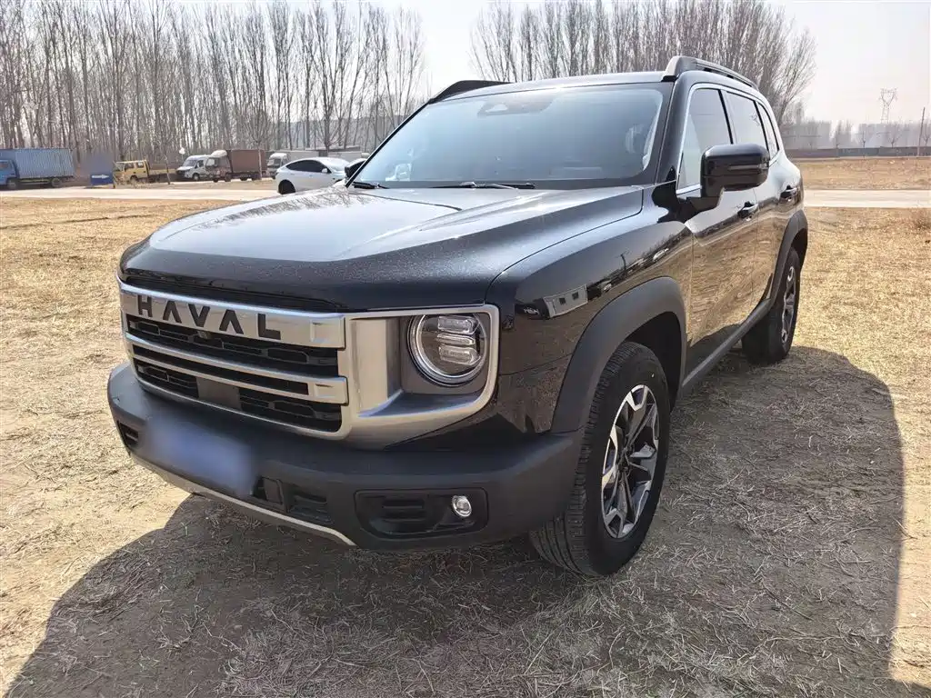 Haval Big Dog 2024 2.0T DCT Chinese Rural Dog Edition