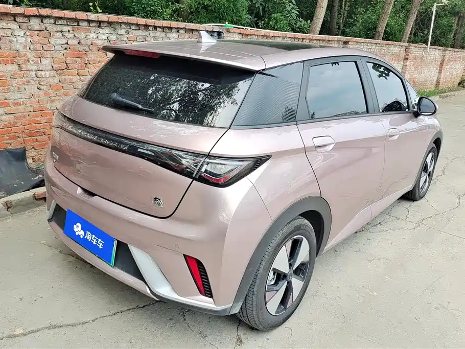 BYD Dolphin 2023 420km Fashion Edition фото 3