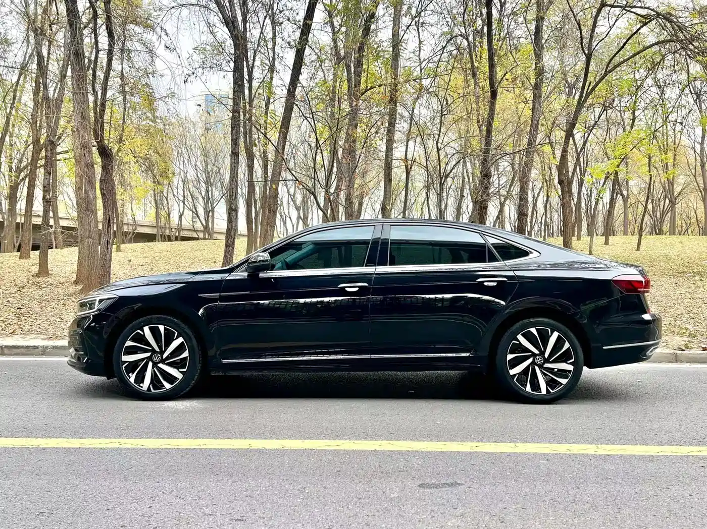 Volkswagen Passat 2022 330TSI Luxury Edition фото 3