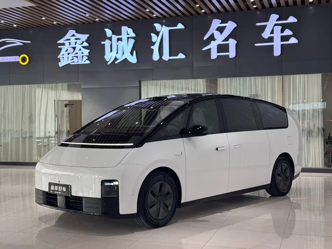 Li Auto MEGA 2025 Model Home Family Special Edition