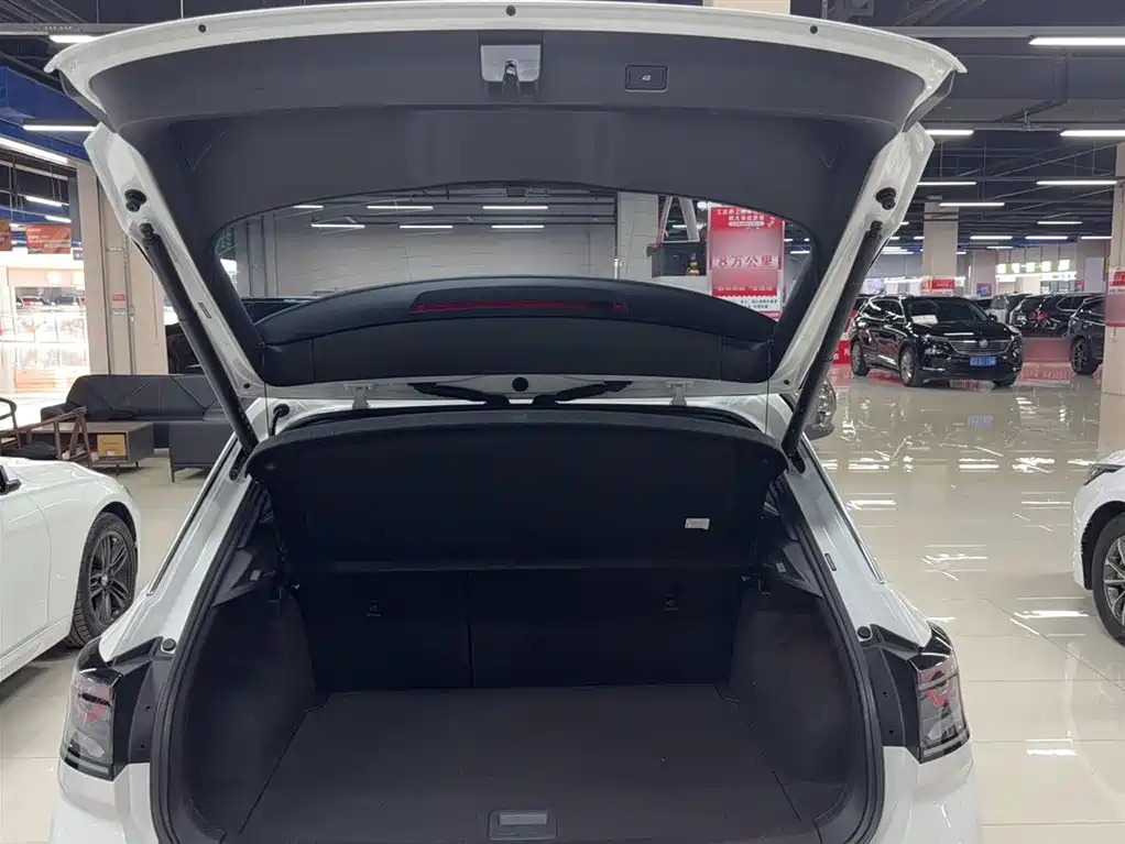 Volkswagen T-ROC 2023 300TSI DSG 2WD Dawn Edition фото 9