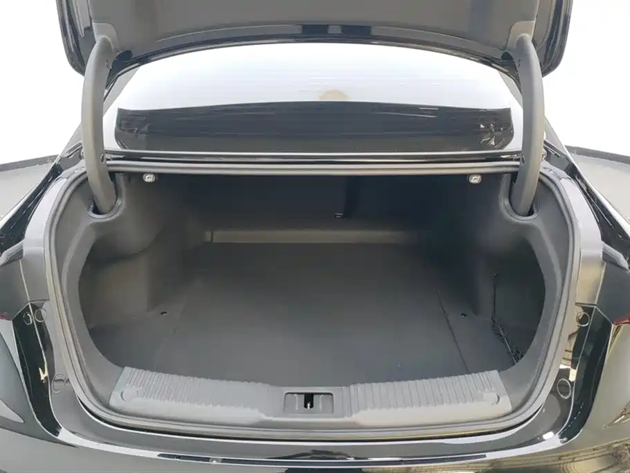 Hongqi H5 2024 2.0T Automatic Smart Connect Flag Enjoy Edition фото 4