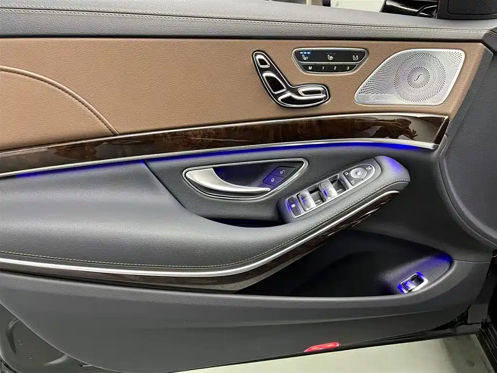Mercedes-Benz S-Class 2020 S 350 L Premium Edition Collector's Version фото 5