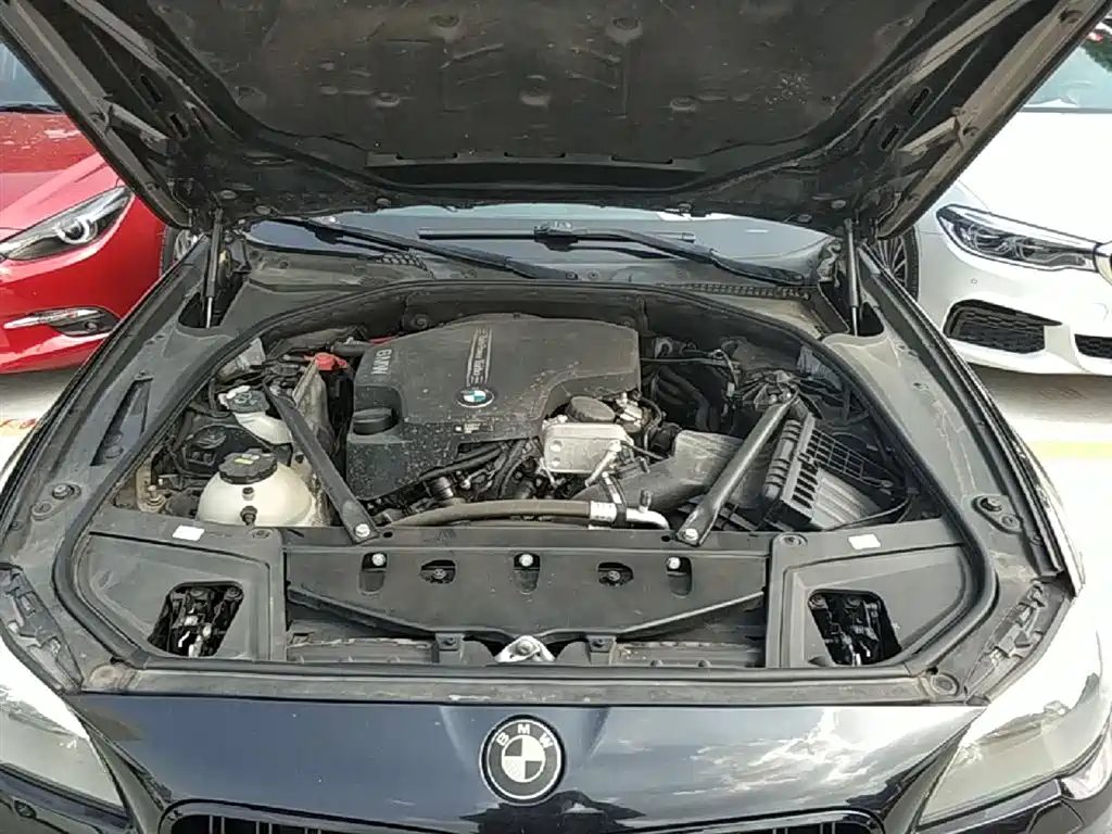 BMW 5 Series 2017 525Li Luxury Design Package фото 20