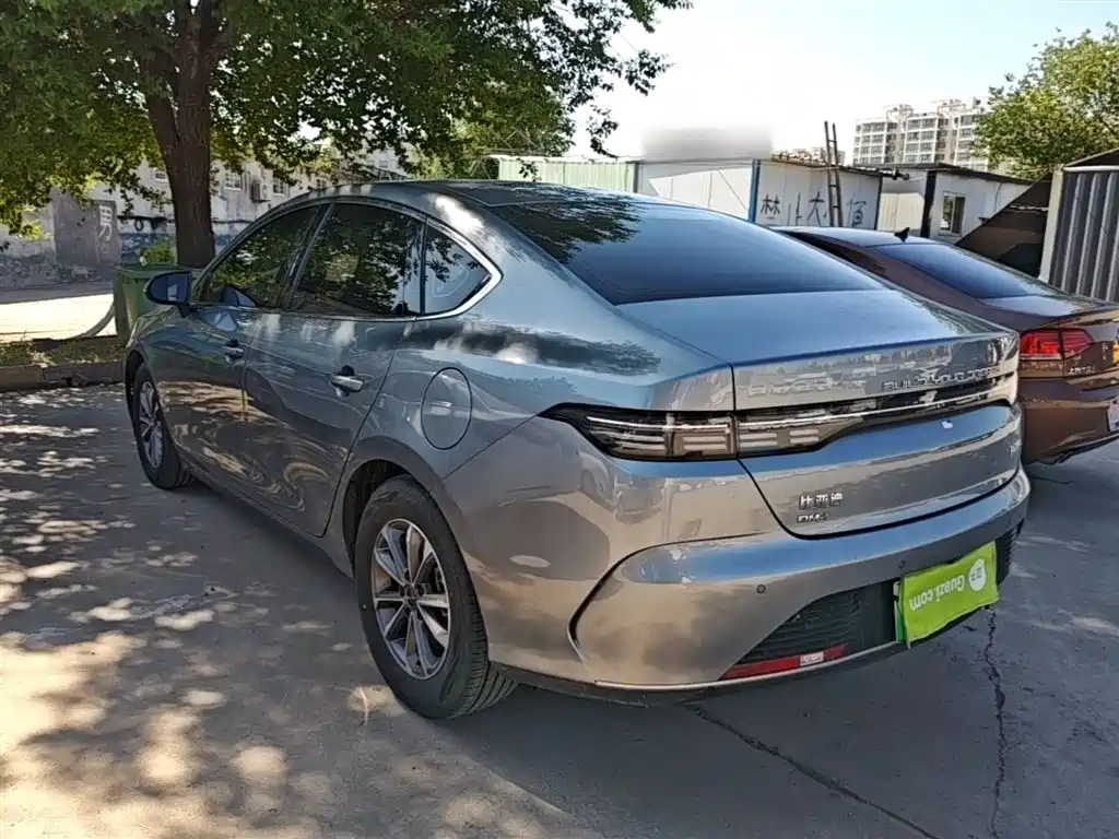 BYD Destroyer 05 2024 Glory Edition DM-i 55KM Luxury фото 5