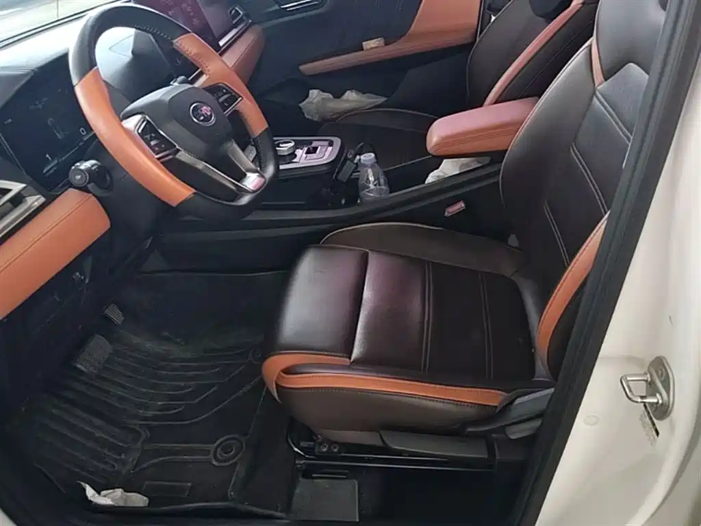 BYD e2 2021 Luxury Edition фото 15