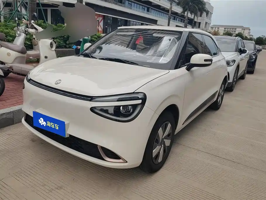 Dongfeng Yipai Nano 01 2024 330 Plus
