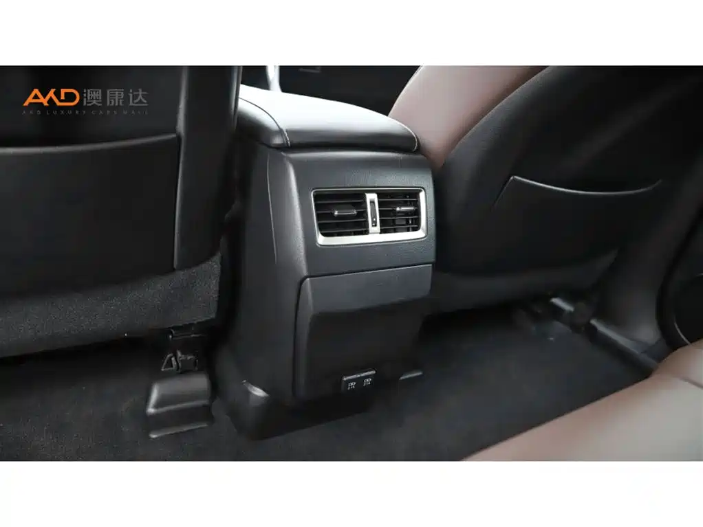 Lexus RX 2020 Facelift 300 2WD Elite Edition фото 9