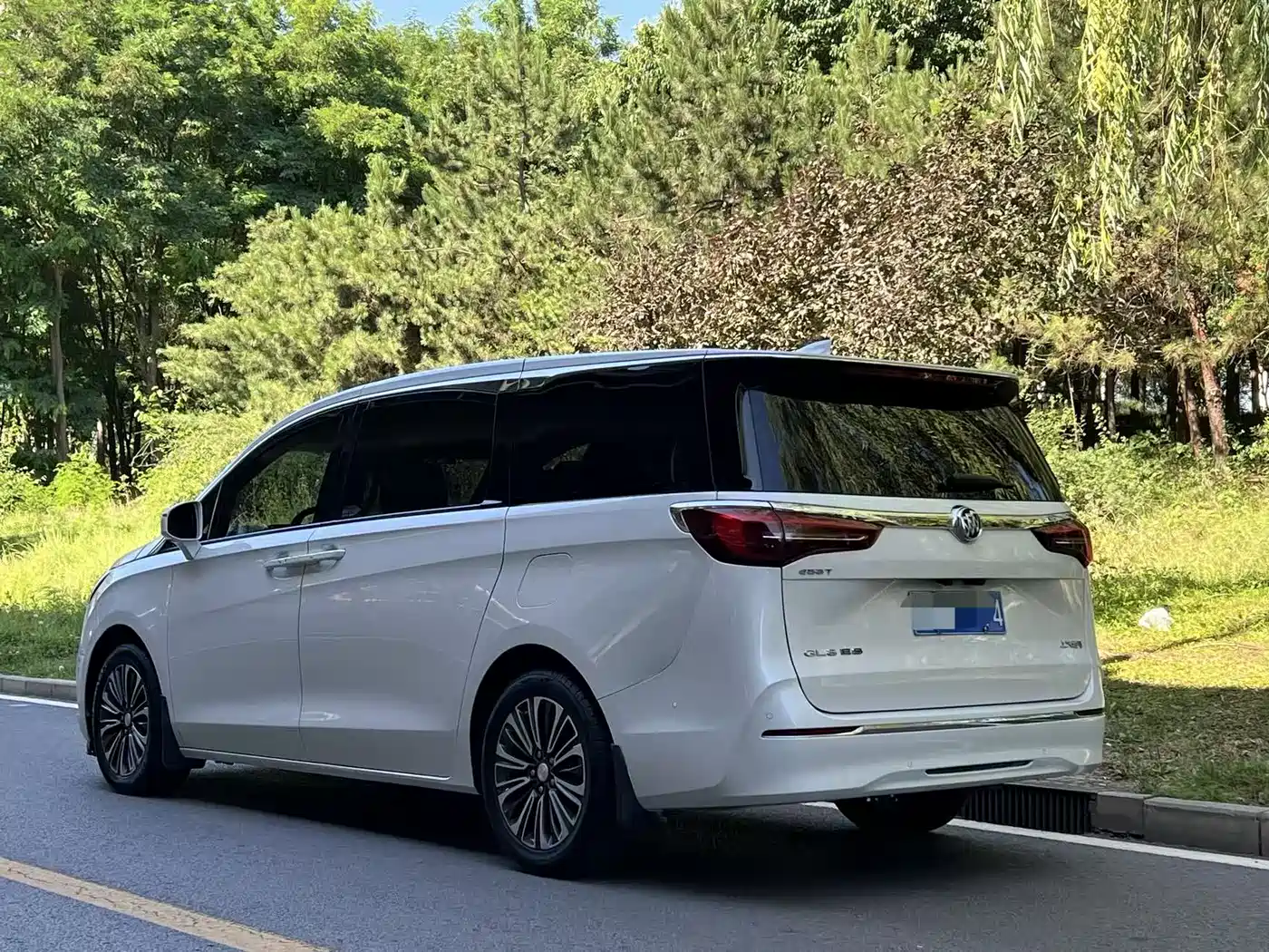 Buick GL8 2020 Model ES Landglory 653T Luxury фото 4