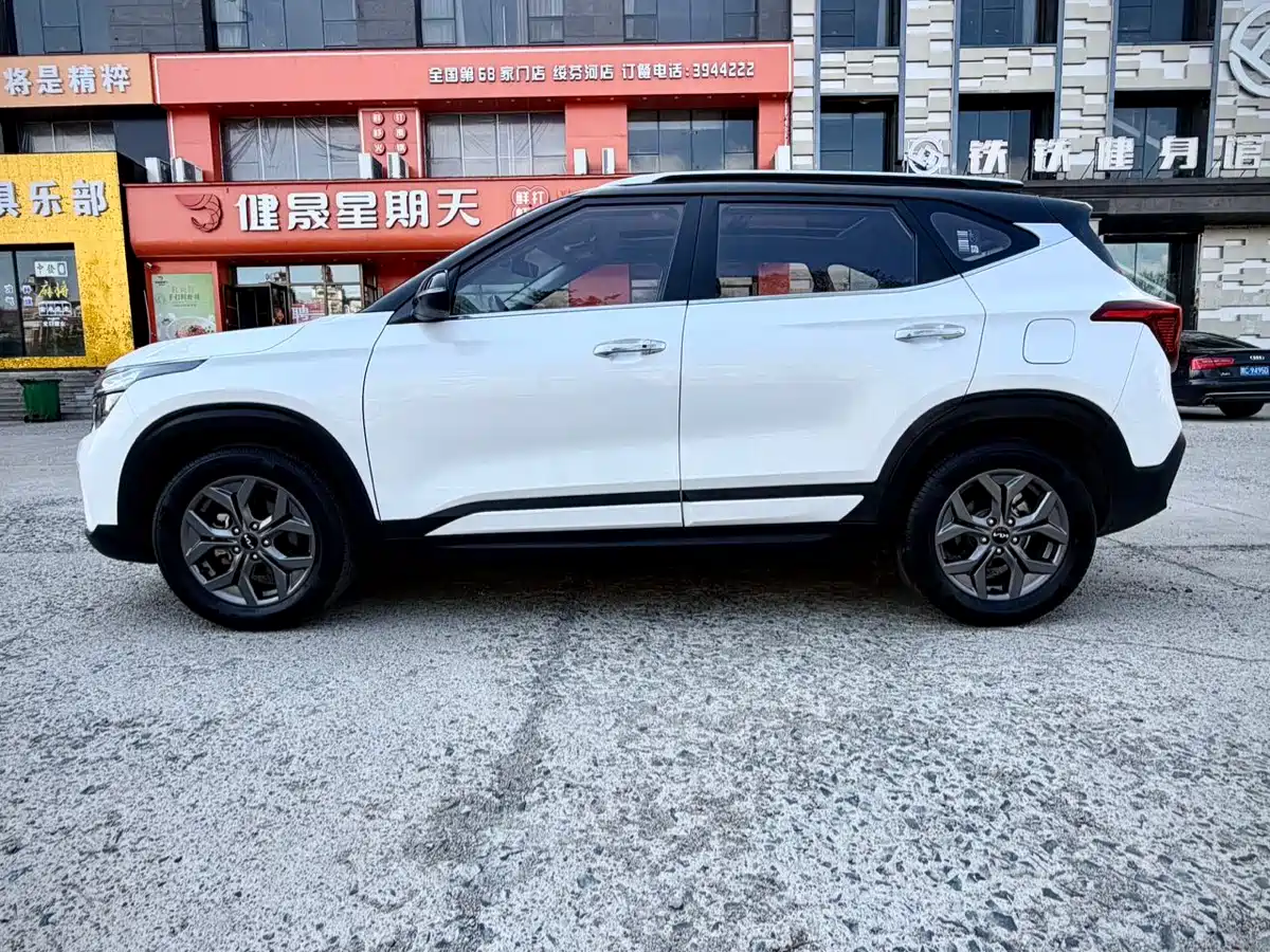 Kia Seltos 2023 1.5L CVT Luxury Edition фото 8