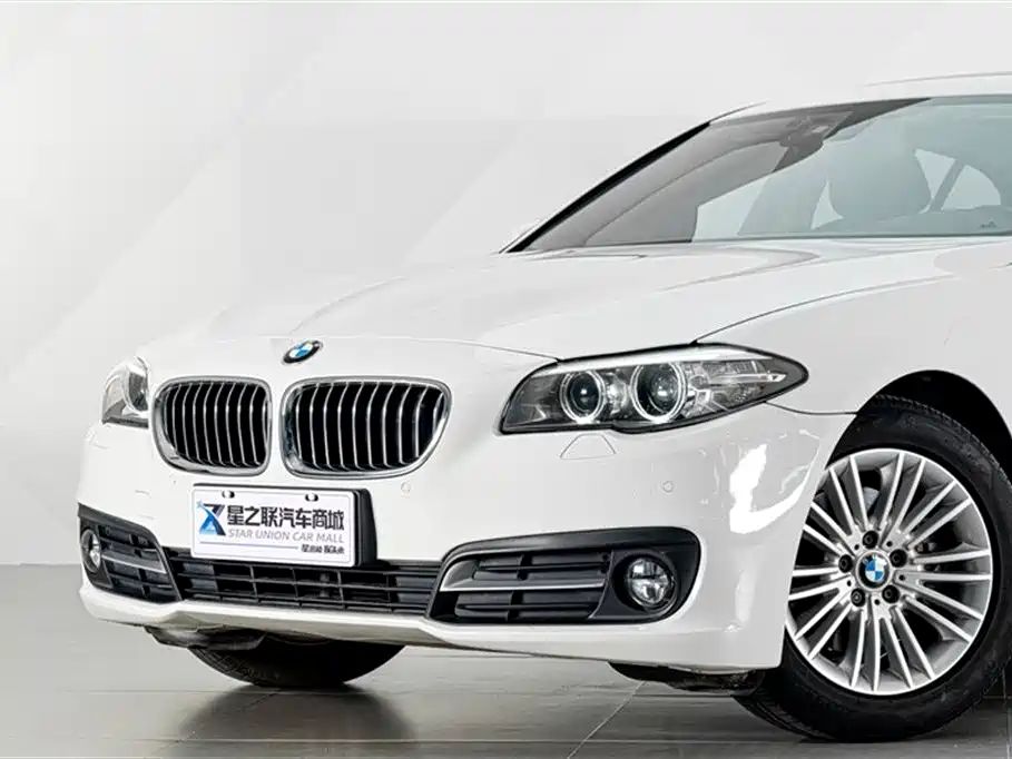 BMW 5 Series 2014 525Li Leading фото 6