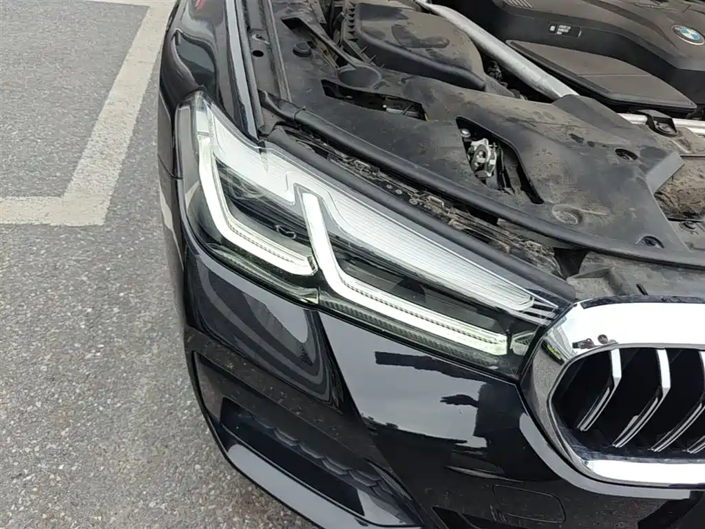 BMW 5 Series 2021 530Li Leading M Sport Package фото 13