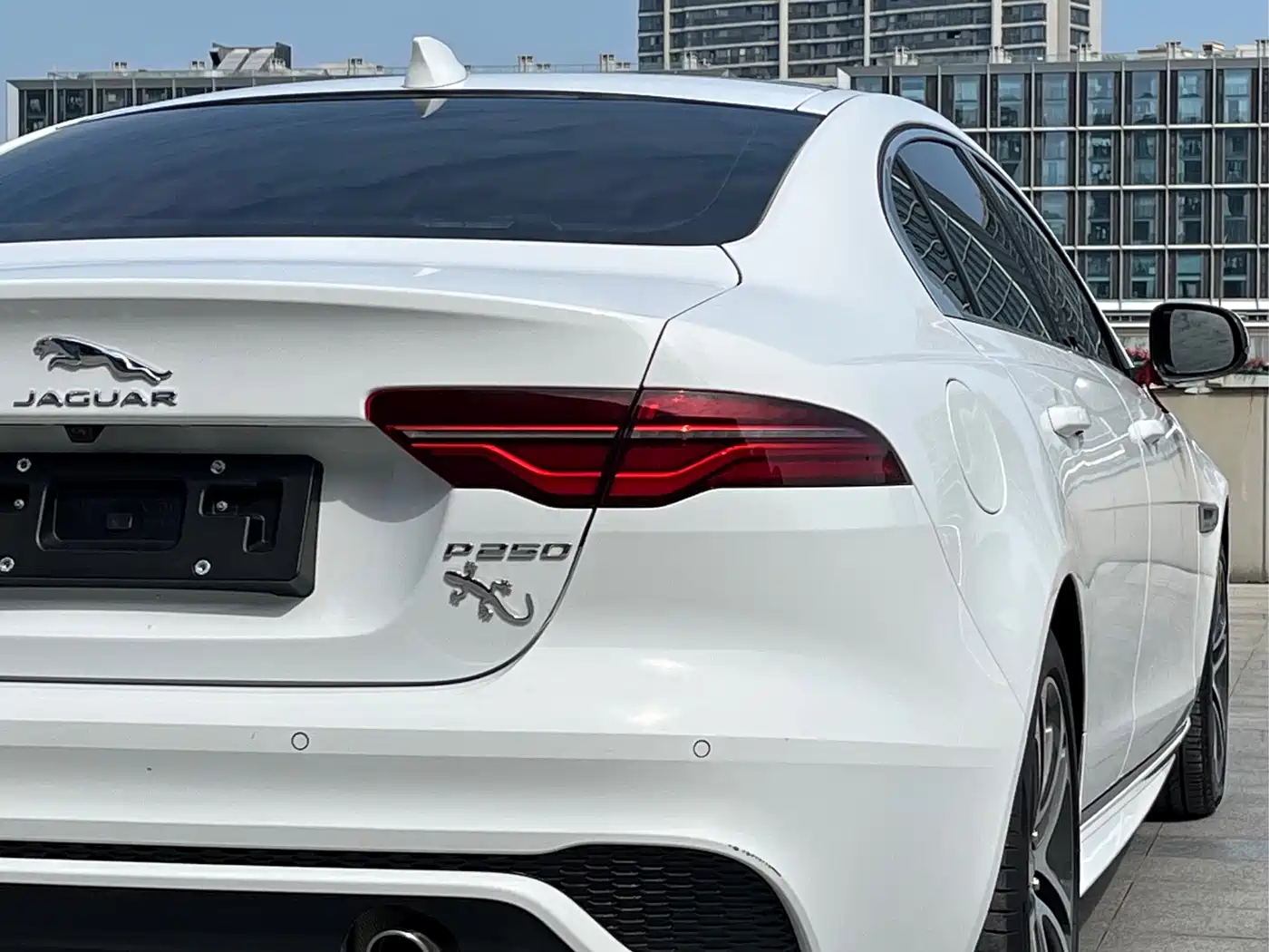 JAGUAR XEL