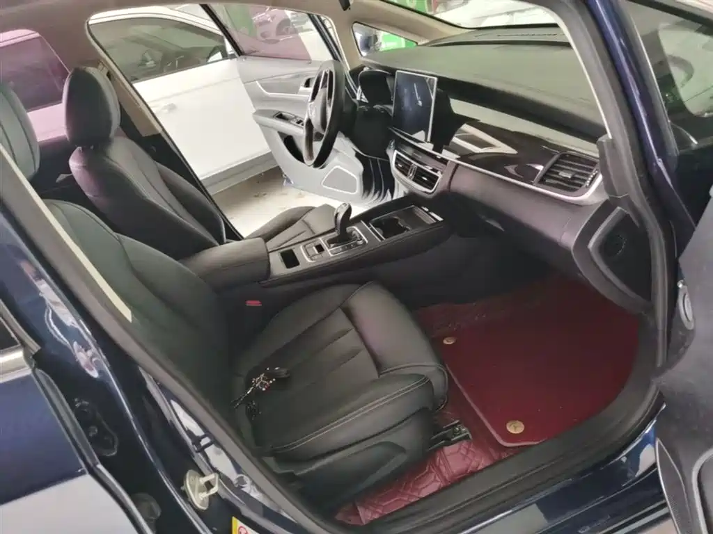 BYD Song MAX 2019 1.5T Auto Smart Connected Sunroof 6-seater China VI фото 25