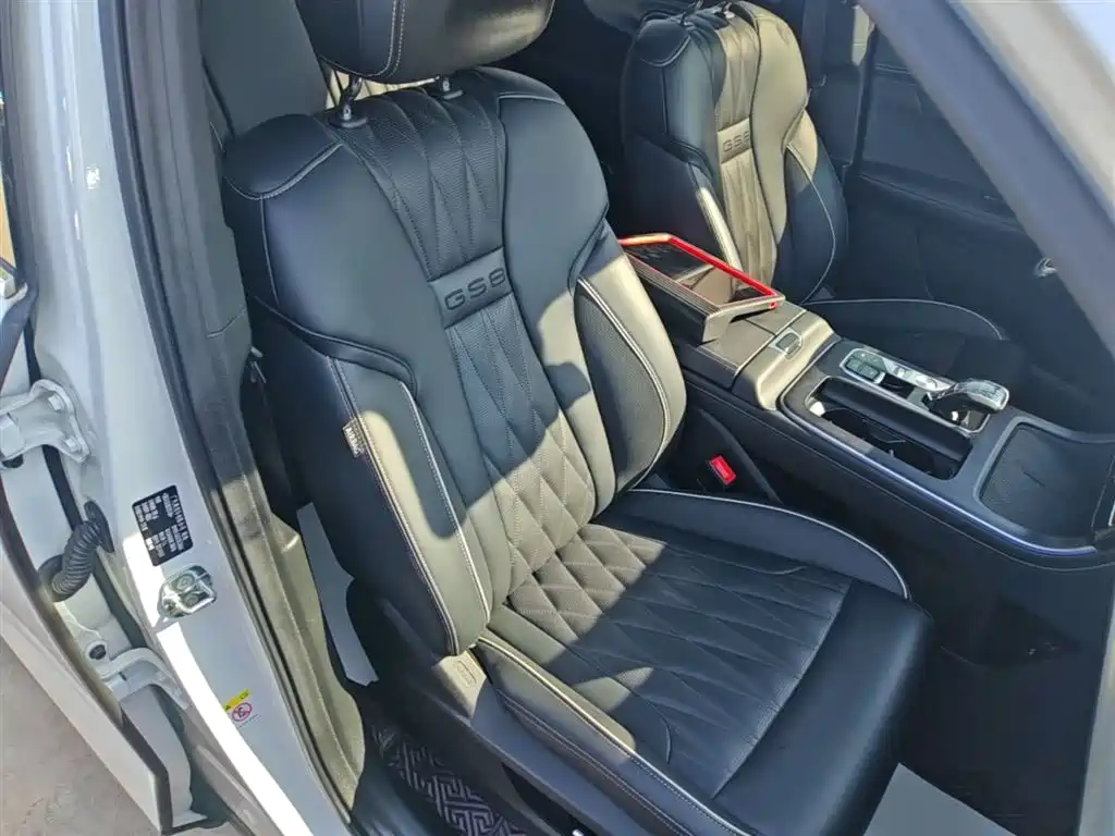 GAC Trumpchi Trumpchi GS8 2022 Pilot Series 2.0TGDI 2WD Premium Edition (7-Seater) фото 25