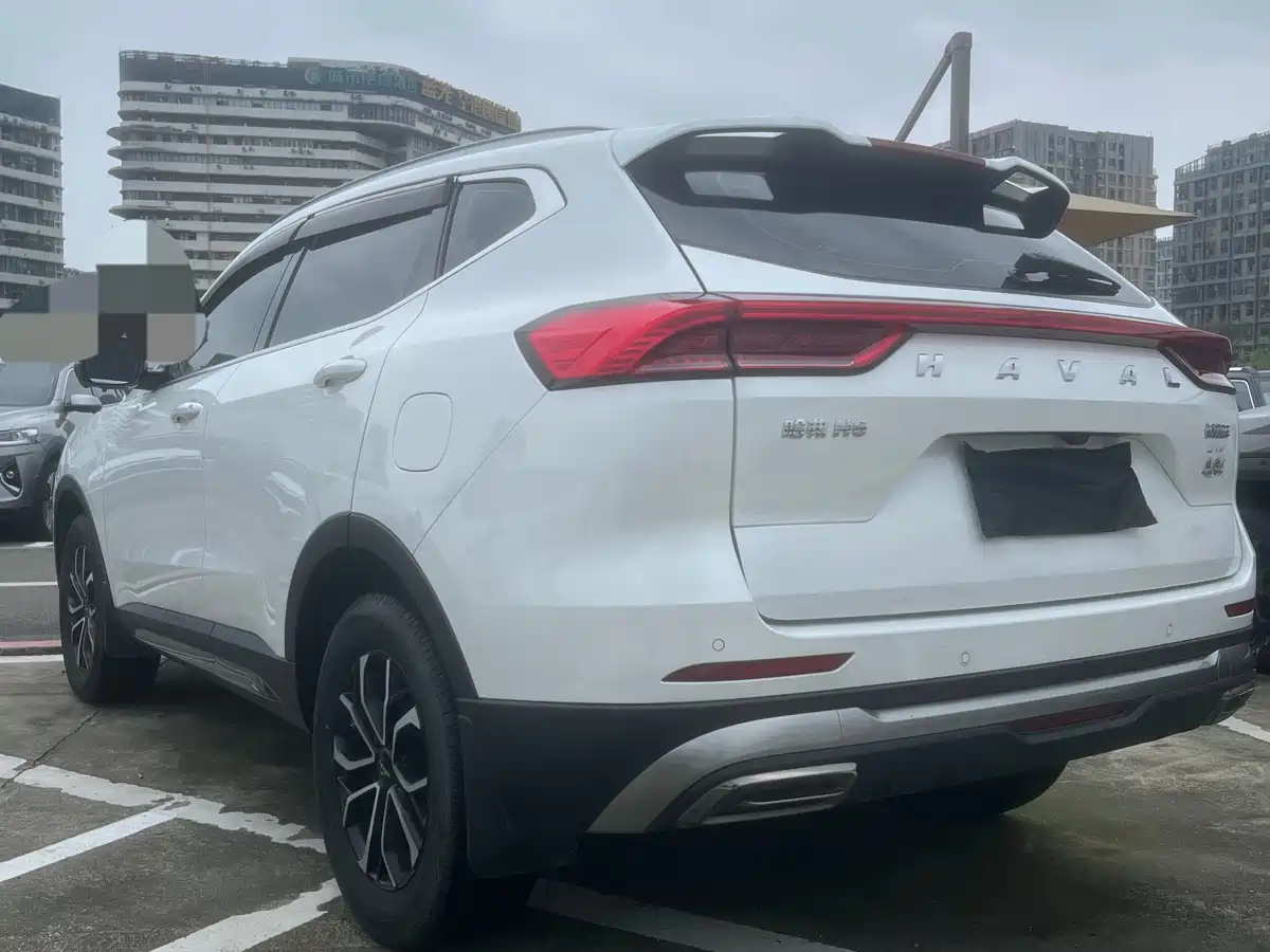 صورة 8 - Haval H6