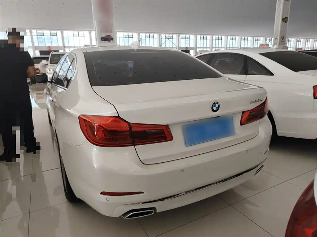 BMW 5 Series 2018 530Li Leading Luxury Package фото 6