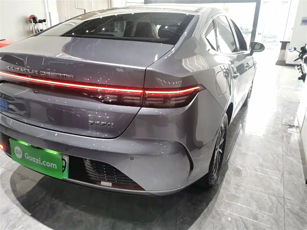 BYD Destroyer 05 2023 Champion Edition DM-i 55KM Luxury фото 8
