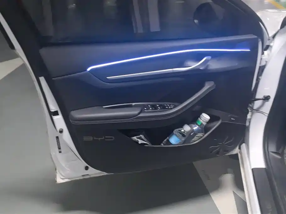 BYD Destroyer 05 2024 Glory Edition DM-i 55KM Luxury фото 7