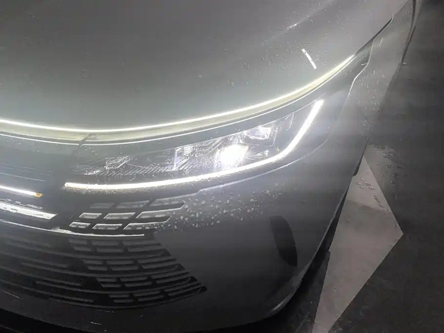 BYD Destroyer 05 2024 Glory Edition DM-i 55KM Luxury фото 5