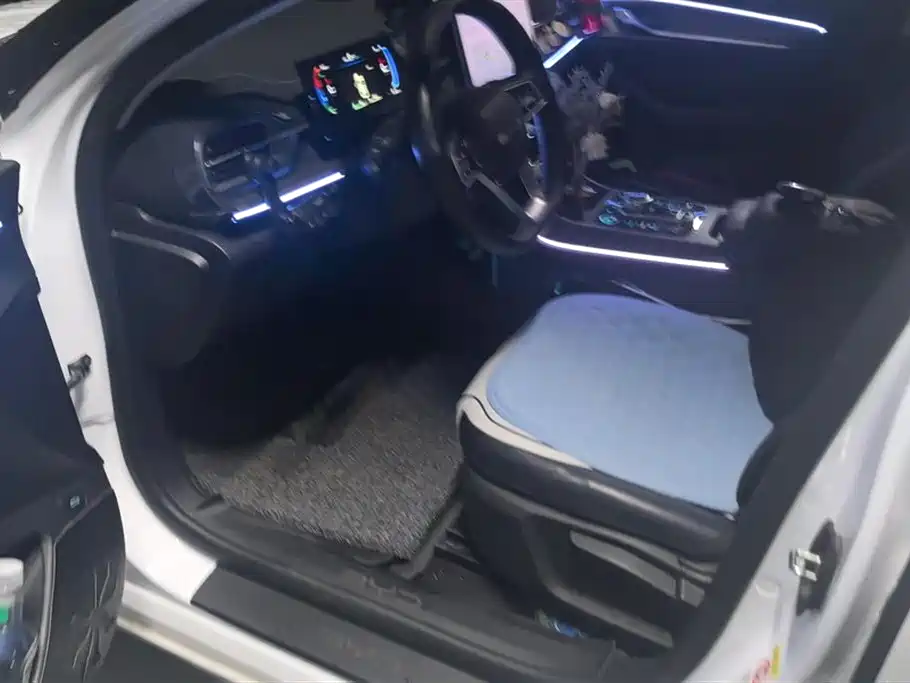 BYD Destroyer 05 2024 Glory Edition DM-i 55KM Luxury фото 9