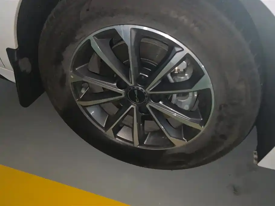 BYD Destroyer 05 2024 Glory Edition DM-i 55KM Luxury фото 6