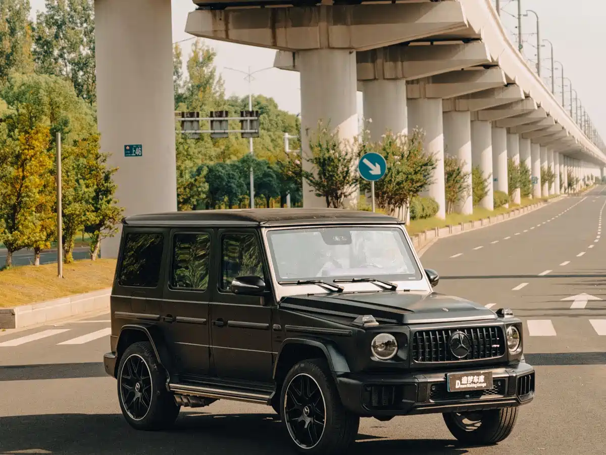 Mercedes-Benz G-Class 2010 G 500 фото 9