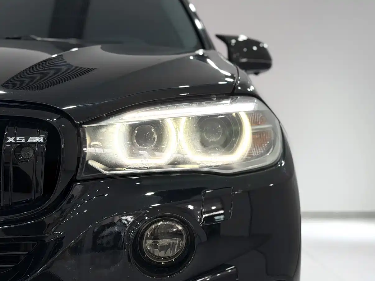 BMW X5 (Import) 2014 xDrive35i Leading фото 13