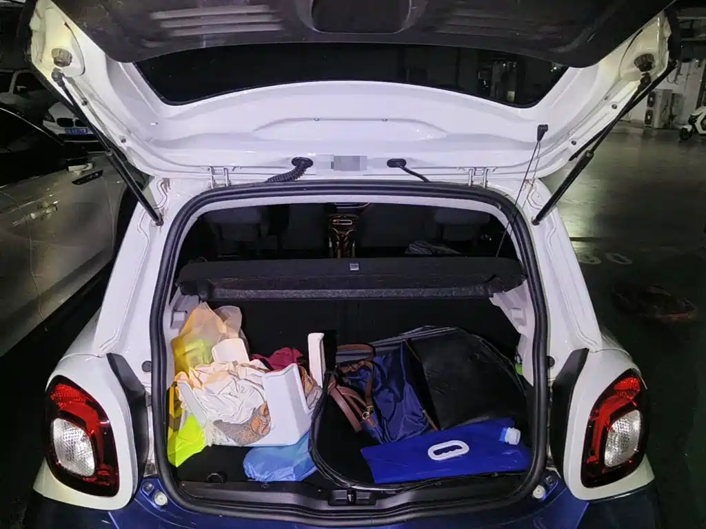2019 smart forfour