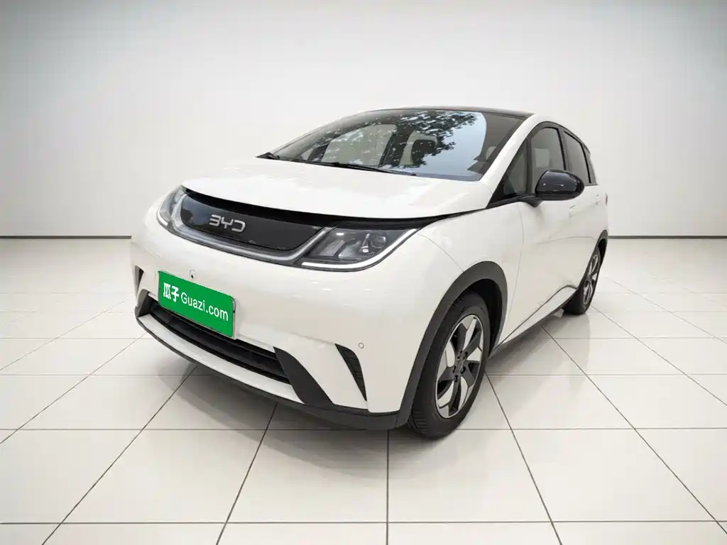 BYD Dolphin 2024