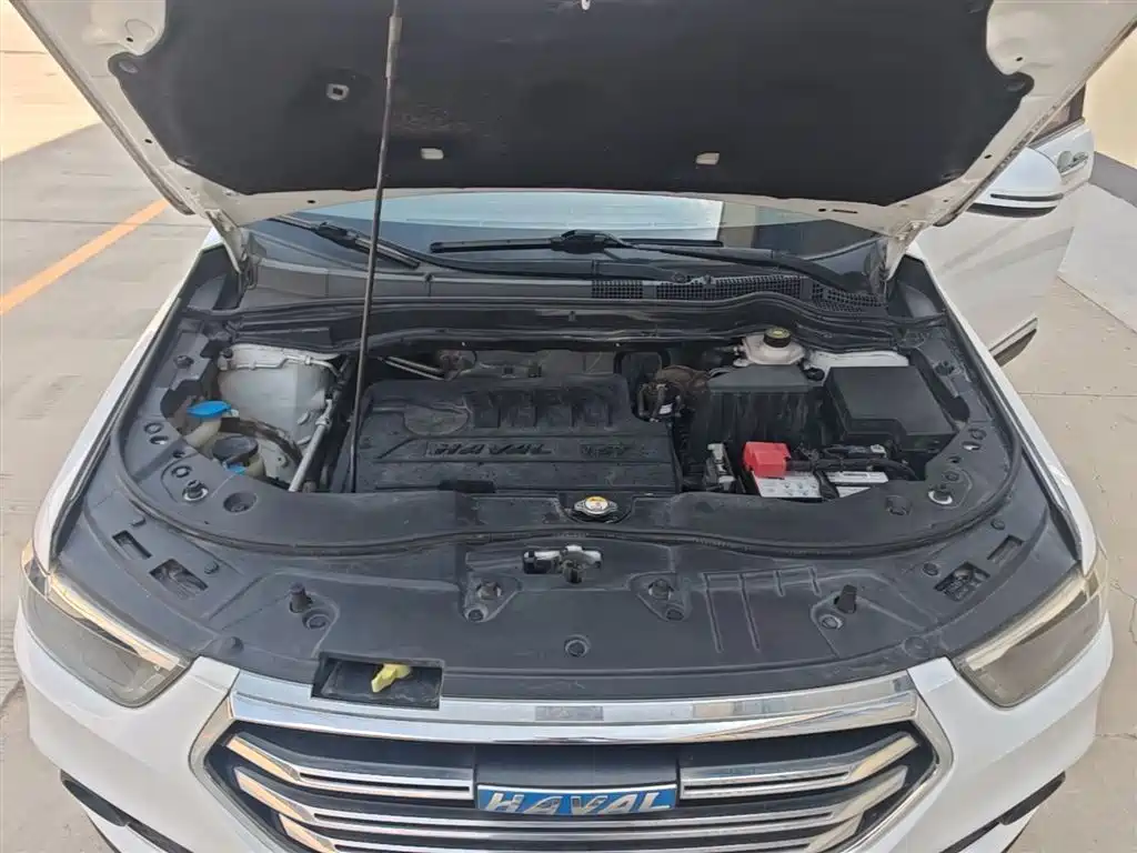 Haval H6 2017 Blue Label Sport 1.5T Manual 2WD Elite фото 20