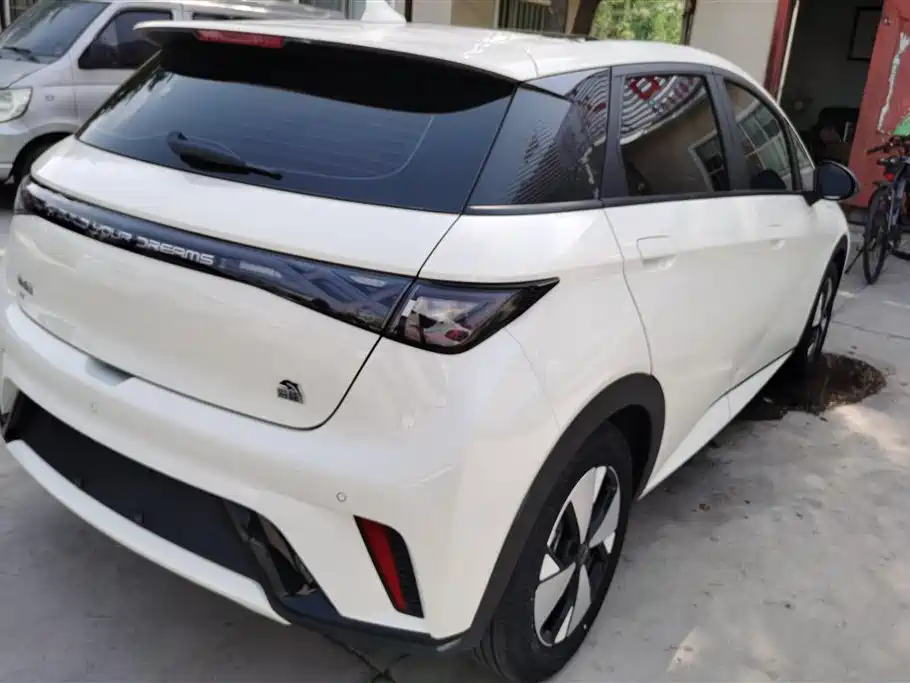 BYD Dolphin 2023 420km Fashion Edition фото 3