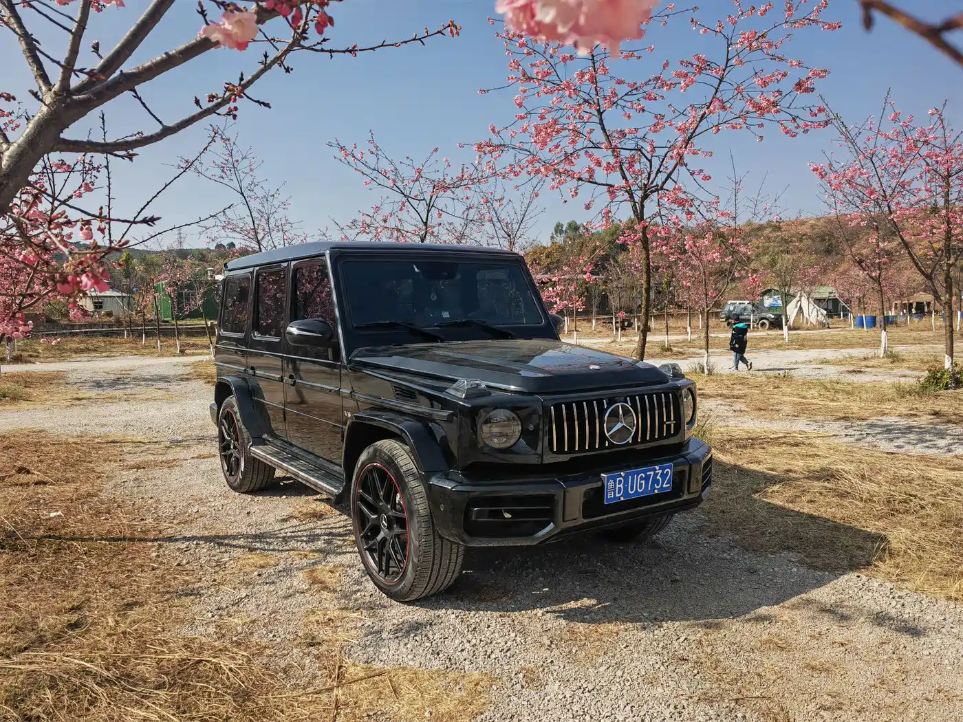 Mercedes-Benz G-Class 2010 G 500 фото 2