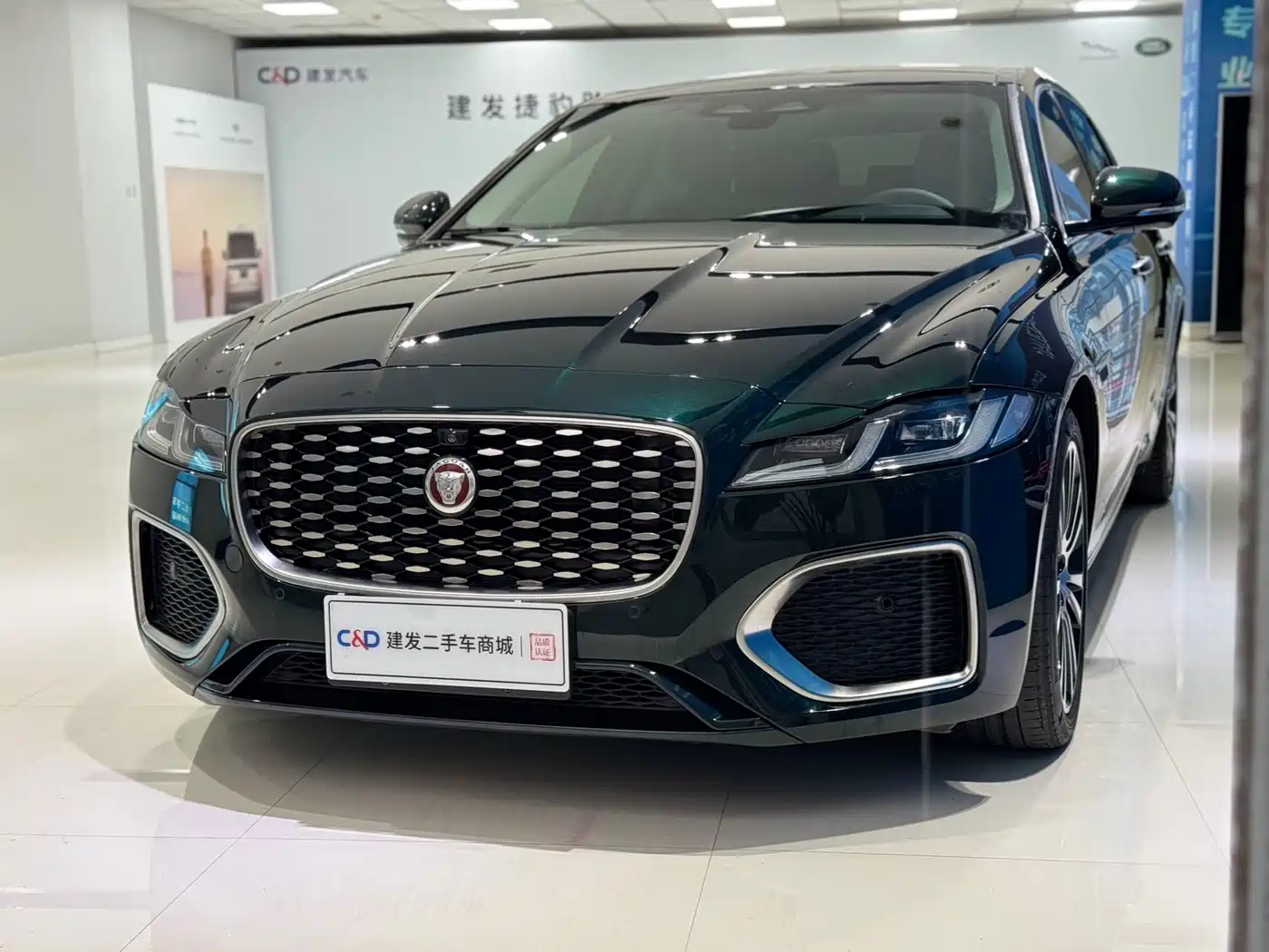 Jaguar XFL 2024 2.0T P250 2WD Premium Luxury
