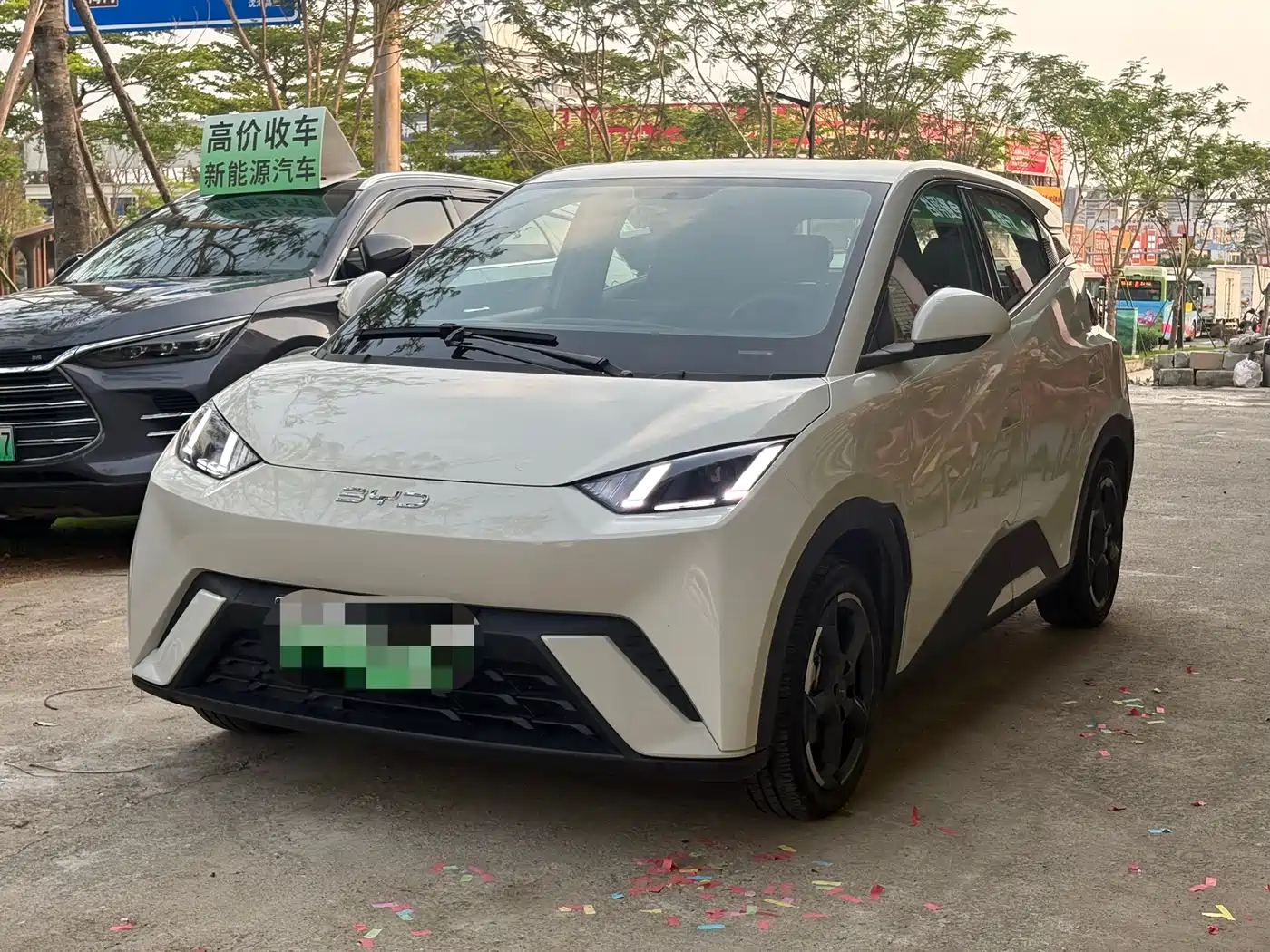 BYD Seagull 2023 Freedom Edition