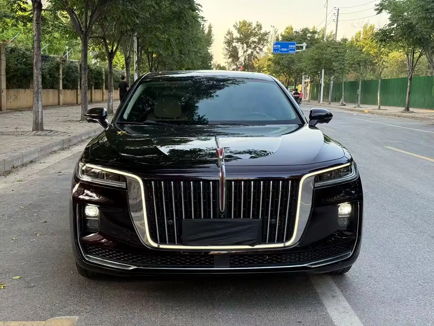 Hongqi H9 2020 2.0T Smart Connection Qi Chang Edition фото 2
