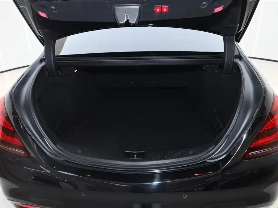 Mercedes-Benz S-Class 2019 S 450 L 4MATIC фото 23