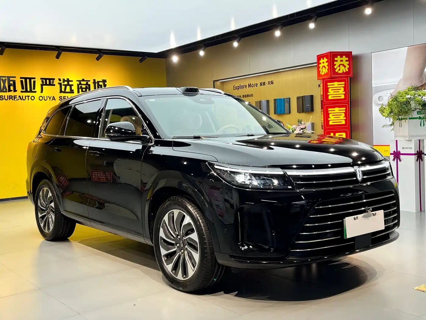 AITO Wenjie AITO M7 2024 1.5T AWD Plus 5-Seater фото 3