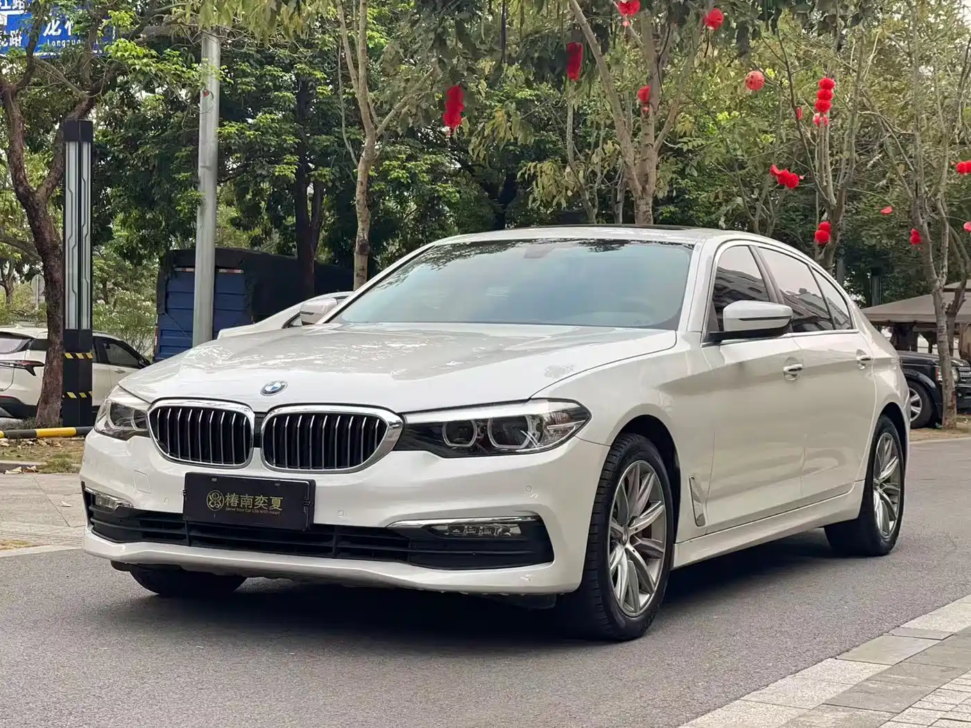 BMW 5 Series 2018 528Li Launch Special Edition