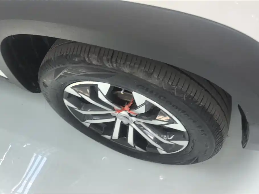 Haval Big Dog 2021 1.5T DCT 2WD Border Collie Edition фото 6