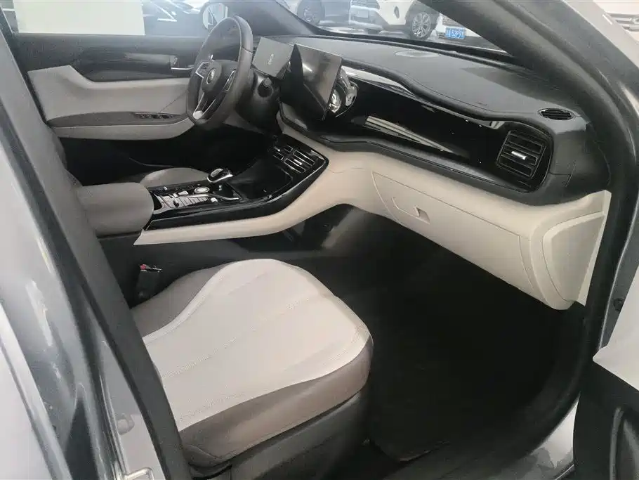 BYD Qin PLUS 2024 Glory Edition DM-i 55KM Leading фото 8
