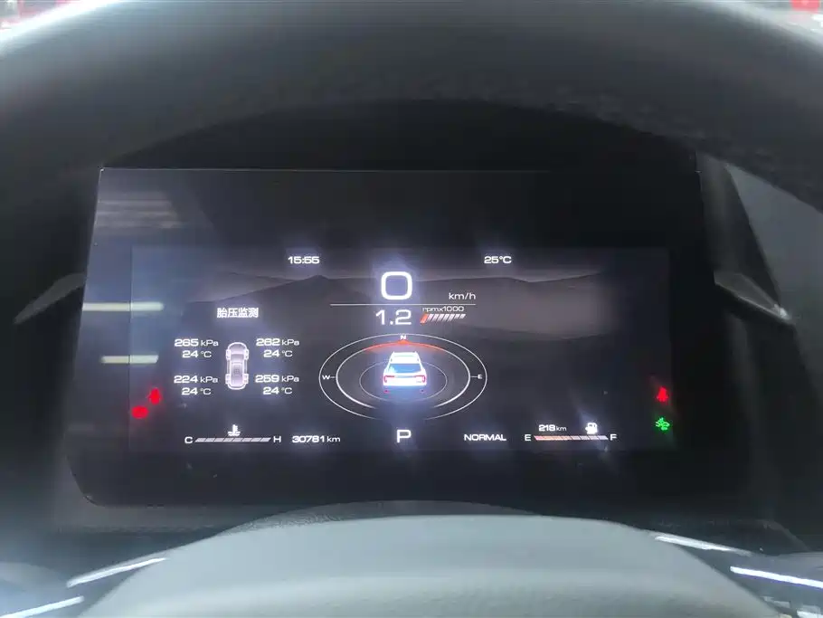 Haval Big Dog 2021 1.5T DCT 2WD Border Collie Edition фото 14