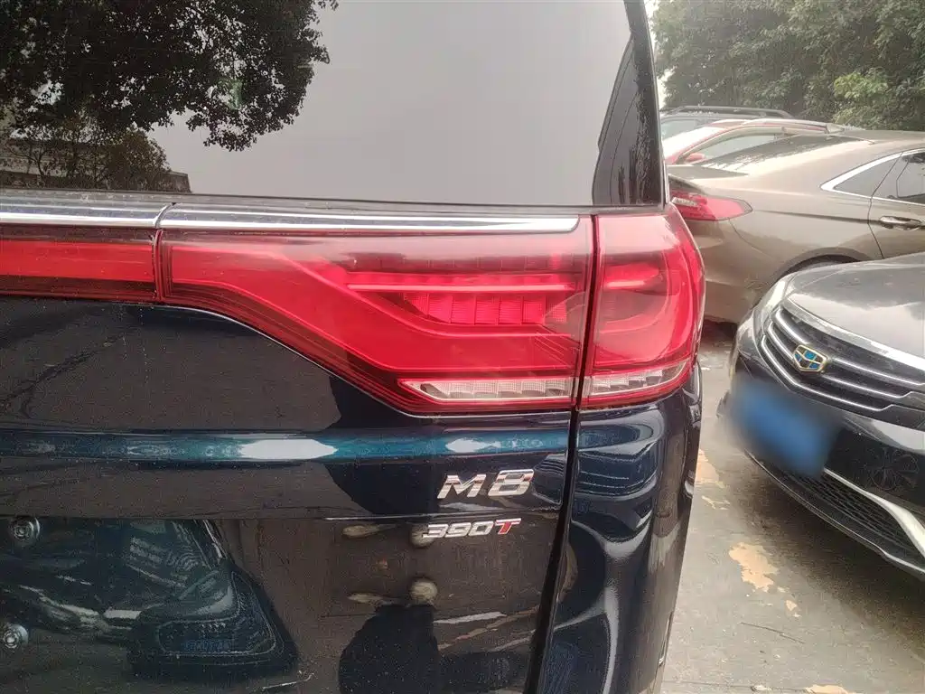 GAC Trumpchi Trumpchi M8 2023 Leading Series 390T Premium Edition фото 8