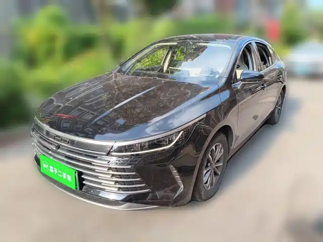 BYD Destroyer 05 2024