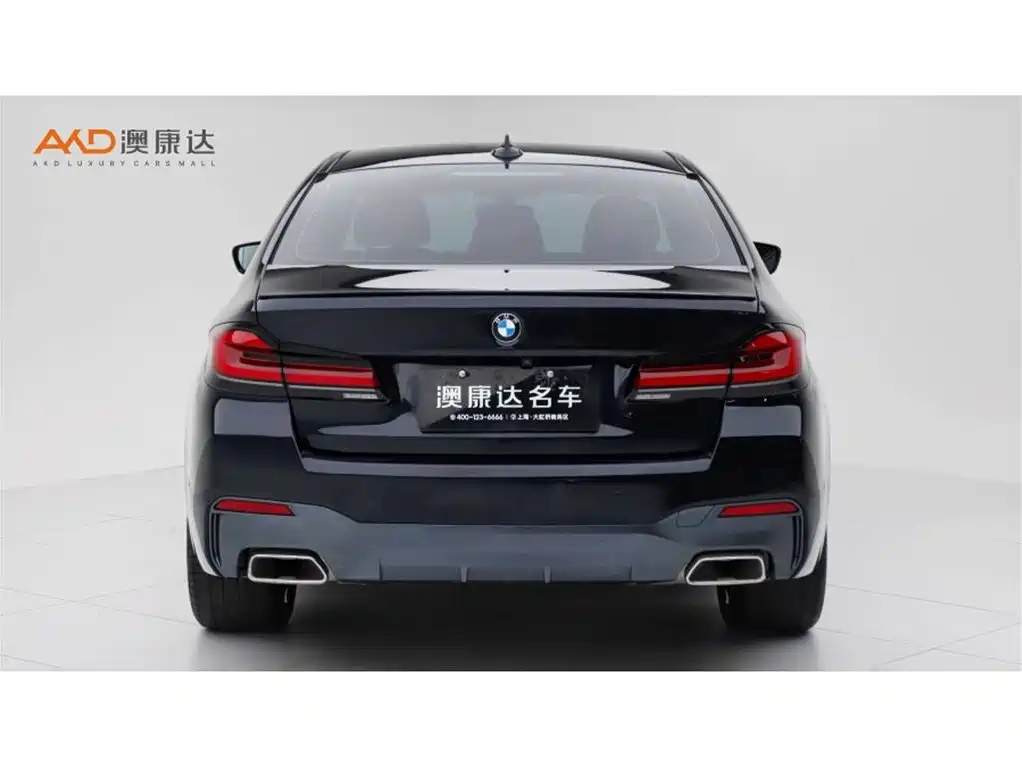 BMW 5 Series (Import) 2021 530i Style Edition M Sport Package фото 4