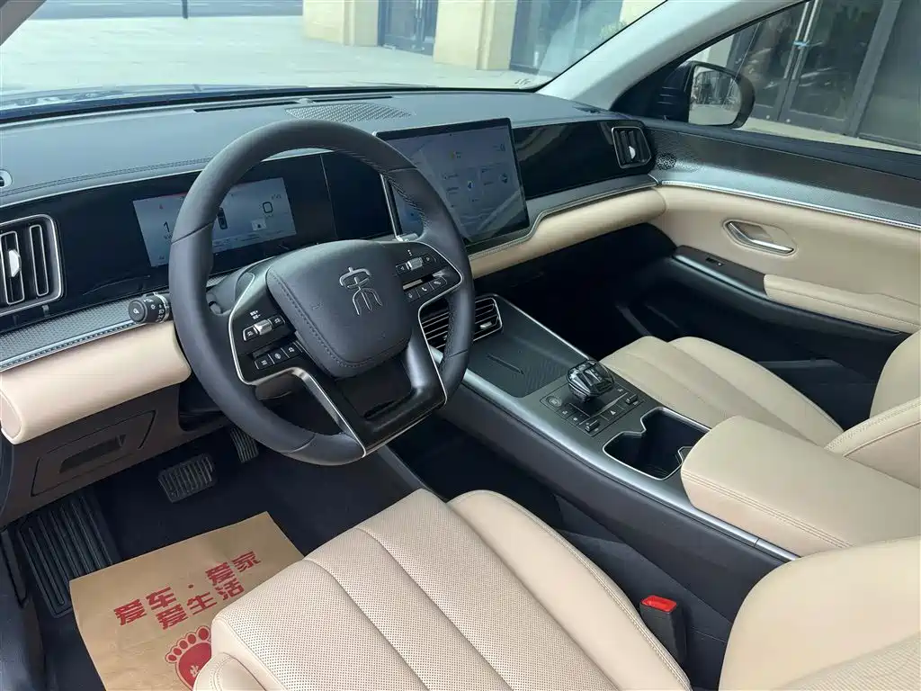 BYD SONGJIANG NEW ENERGY