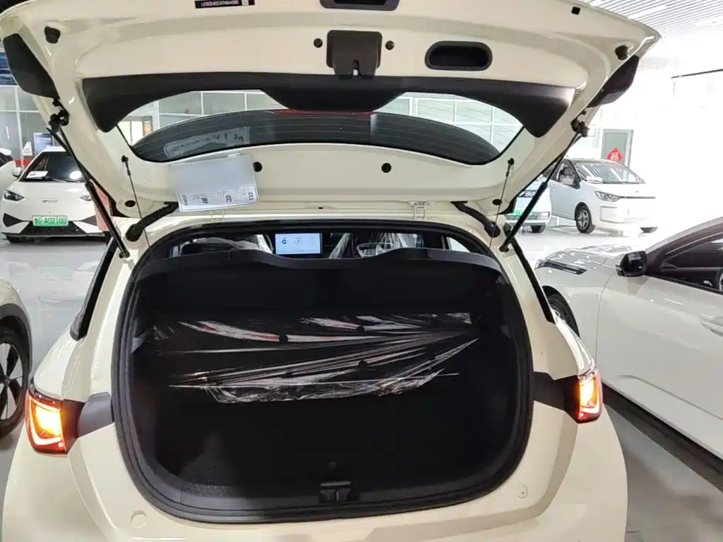 BYD Dolphin 2026 2025 420km Freedom Edition