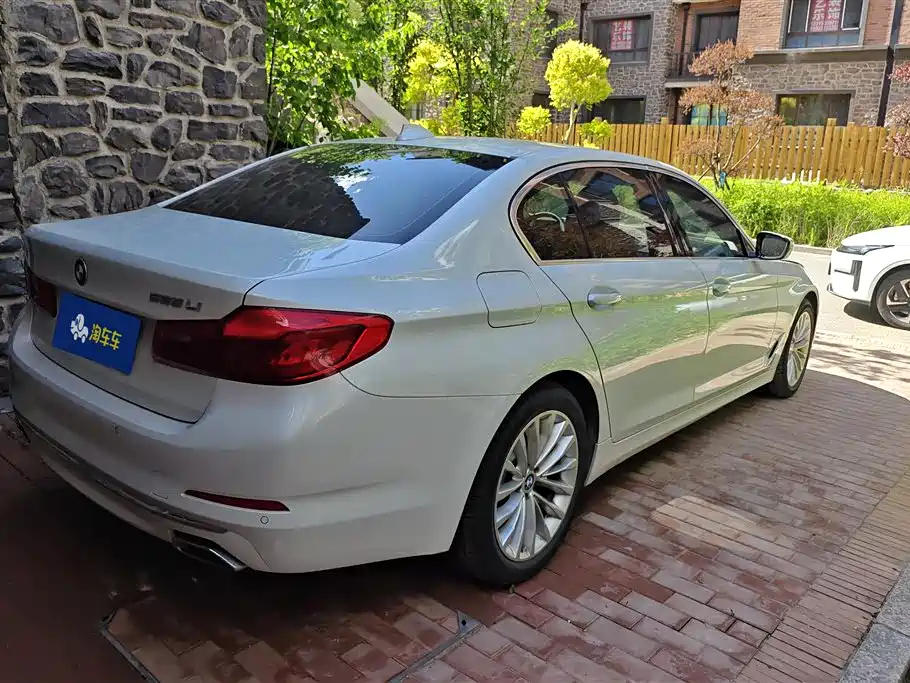 BMW 5 Series 2019 525Li Luxury Package фото 3